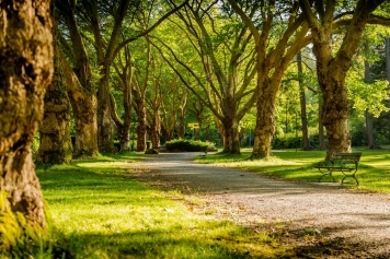 The Future of Urban Parks: Designing Green Spaces for a Sustainable Tomorrow main image