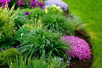 Revitalizing Your Garden: Expert Tips for Residential Landscape Design main image