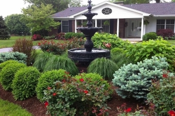 The Role of Native Plants in Creating Sustainable and Beautiful Landscapes main image