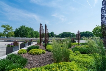 How to Transform Your Commercial Space with Strategic Landscape Architecture main image